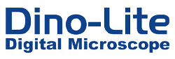 Dino-Lite Logo